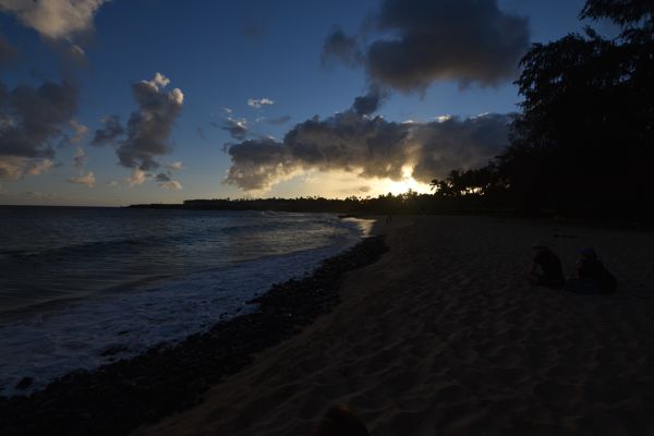 DSC_3655.jpg