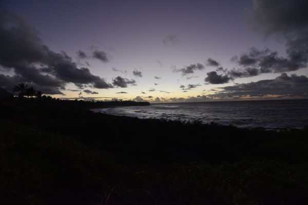 DSC_3730.jpg