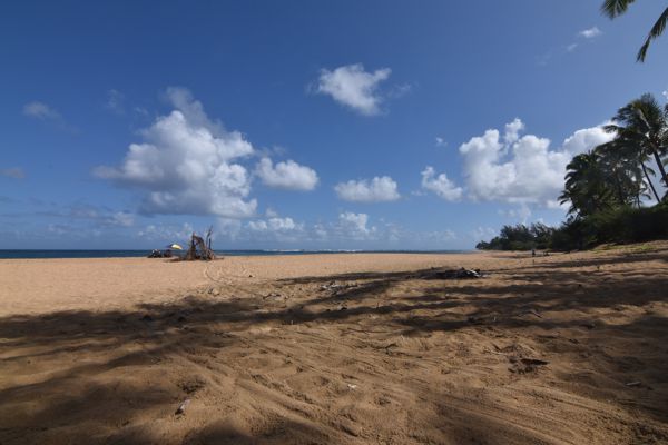 DSC_4059.jpg