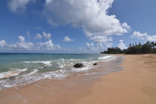 DSC_4074.jpg