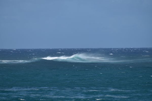 DSC_4153.jpg