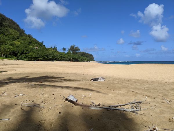 PXL_20210914_194857995.jpg