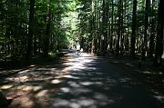 IMG_3301