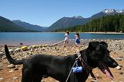 IMG_3361