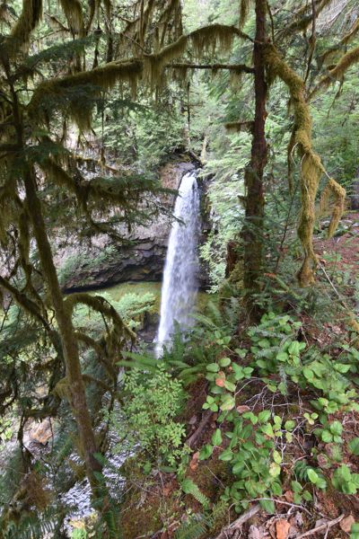 DSC_4430.JPG