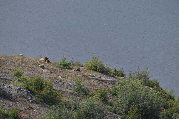 DSC_4532.JPG