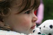 IMG_2388