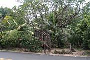 IMG_7581