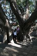 IMG_7595
