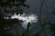 IMG_7708