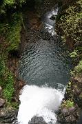 IMG_7729