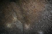 IMG_7743