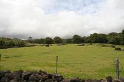 IMG_7803