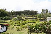 IMG_7805