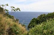 IMG_7828