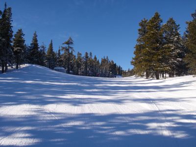 P2101563.JPG
