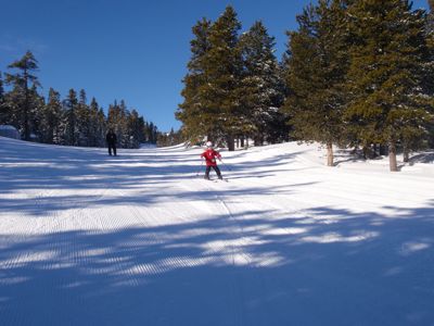 P2101566.JPG