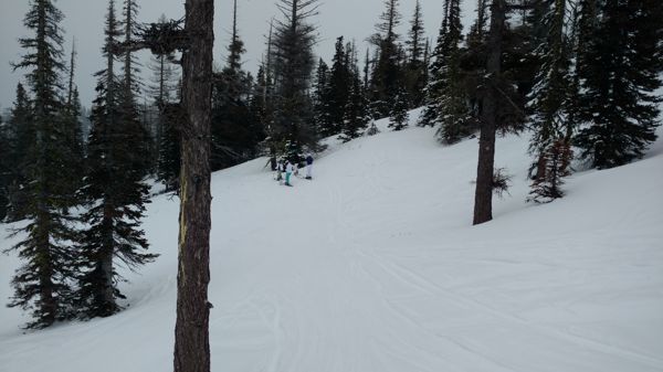 IMG_20180223_130313639.jpg