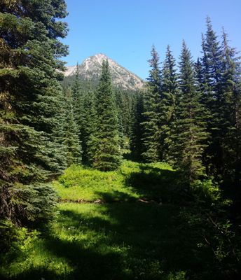 20140728_154227.JPG