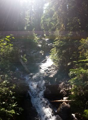20140728_154727.JPG