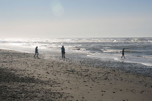 IMG_7349.JPG