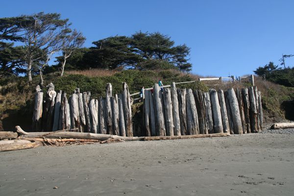 IMG_7358.JPG