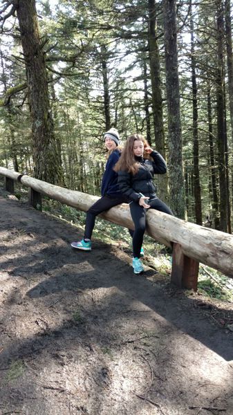 IMG_20170409_142943378.jpg