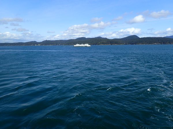 P4090733.JPG