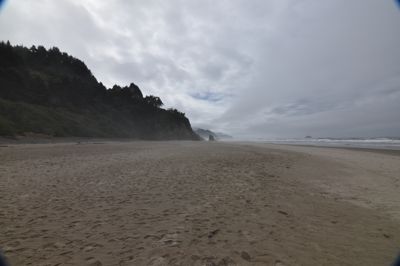 DSC_5611.JPG