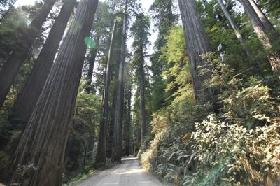 DSC_5784.JPG