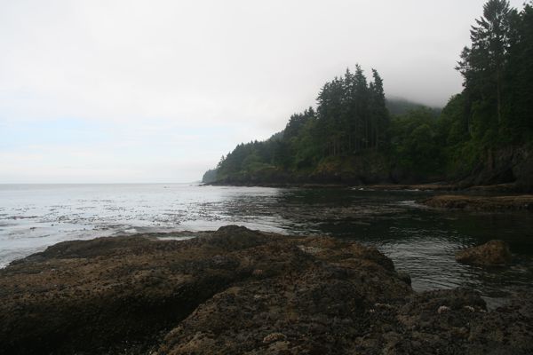 IMG_7423.JPG