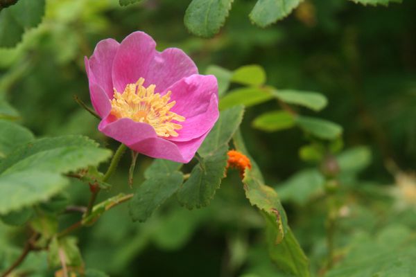 IMG_7490.JPG
