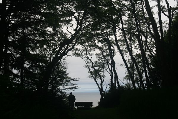 IMG_7497.JPG