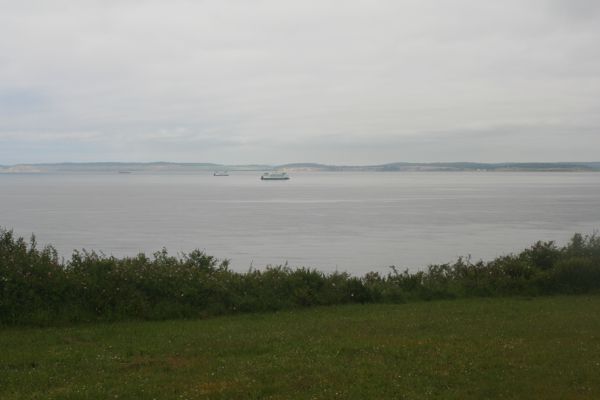 IMG_7529.JPG