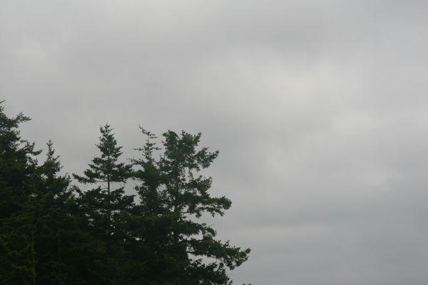 IMG_7539.JPG