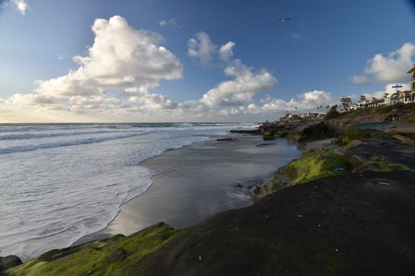 DSC_1160.JPG