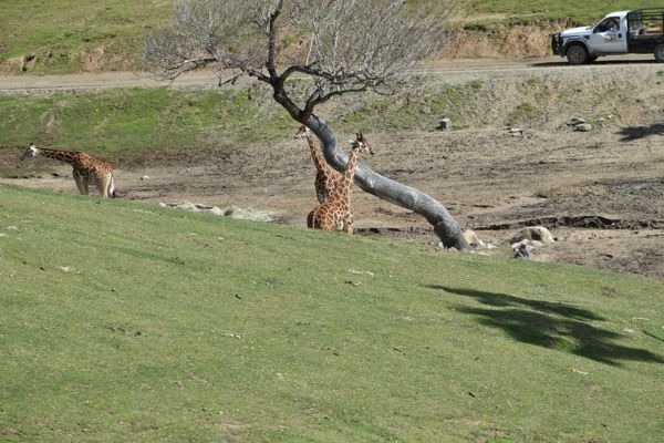 DSC_1262.JPG
