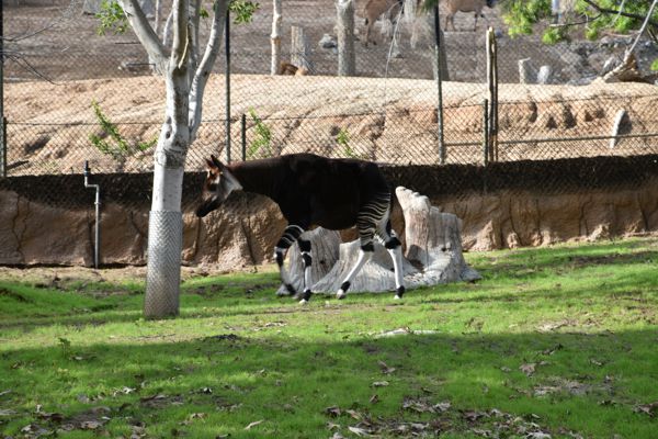 DSC_1314.JPG