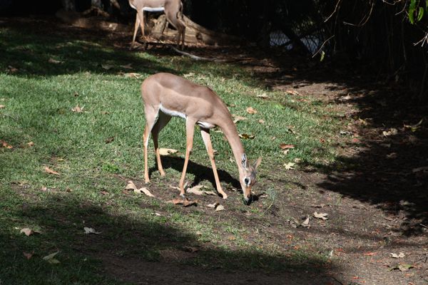 DSC_1316.JPG
