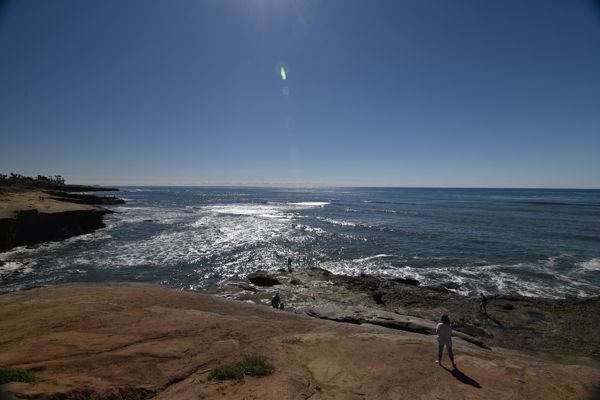 DSC_1392.JPG