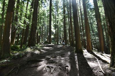 DSC_6188.JPG