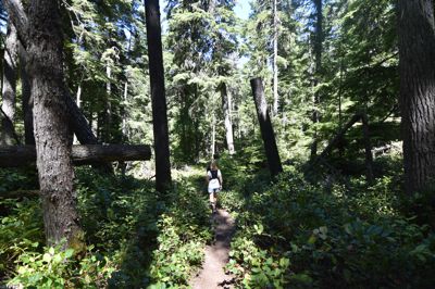 DSC_6195.JPG
