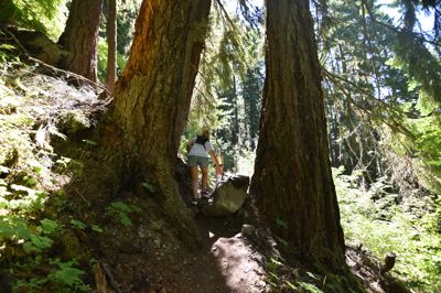 DSC_6212.JPG