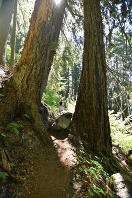 DSC_6214.JPG