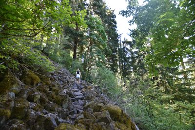 DSC_6219.JPG