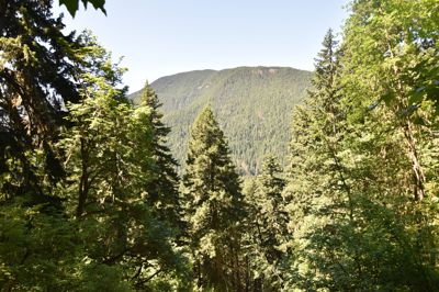 DSC_6220.JPG