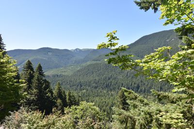 DSC_6226.JPG