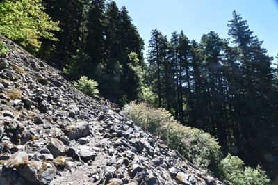 DSC_6245.JPG