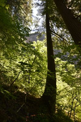 DSC_6248.JPG