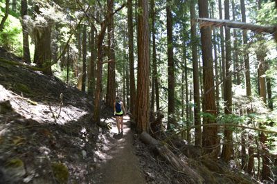 DSC_6264.JPG
